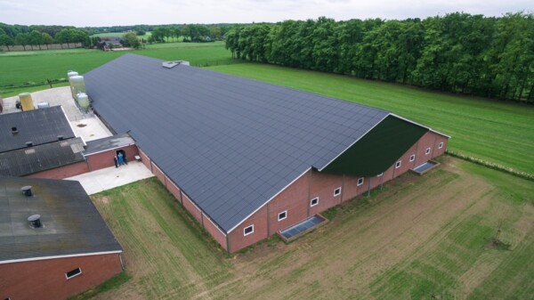 Varkensstal Haaksbergen